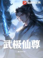 武極仙尊